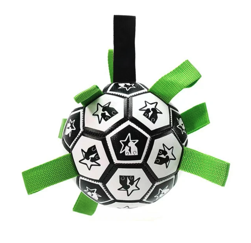 Interactive Soccer Brain Game for Dogs